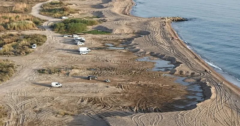 Kum hırsızları plajı çaldı