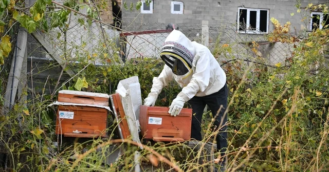 Kovan sizden arı bizden projesine teşekkür Kayseri Haberleri