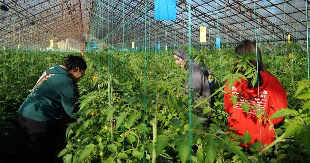 Üniversiteden sofraya Antalya Haberleri