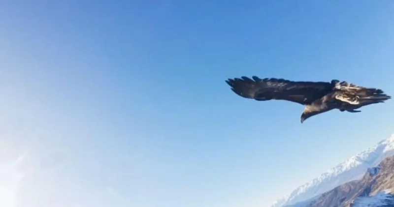 Kartalın kaçırdığı dron 6 saatlik operasyonla kurtarıldı