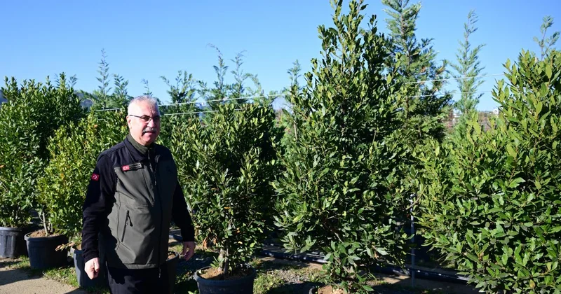 İstanbul un ormanları havadan ve karadan korunuyor