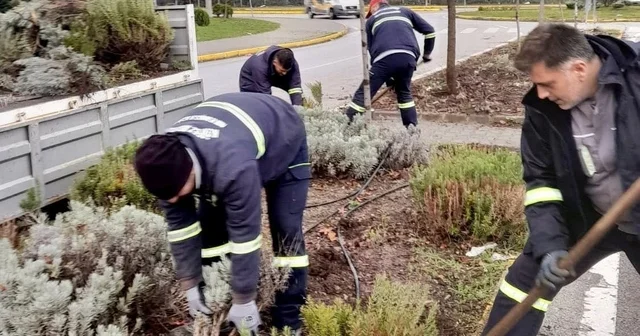 Körfez de yeşil alanlar çiçeklerle süsleniyor Kocaeli Haberleri