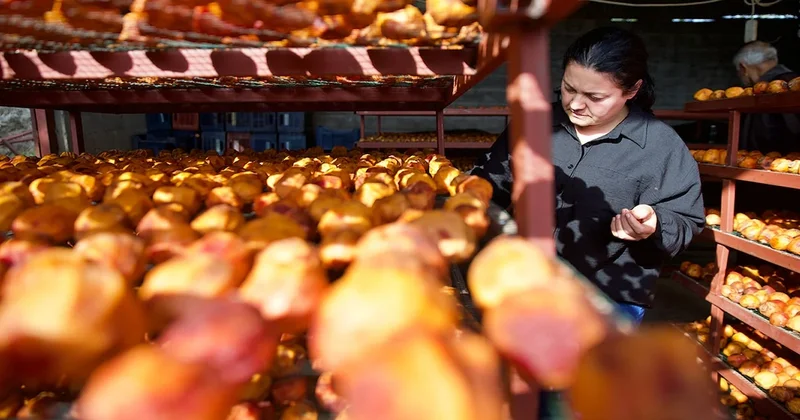 Köydeki evlerini tamamen boşaltıp bu işe başladılar: Siparişlere yetişemiyor Sözcü Gazetesi