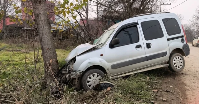 Ağaca çarpan hafif ticari araçtaki anne ile kızı yaralandı Bursa Haberleri