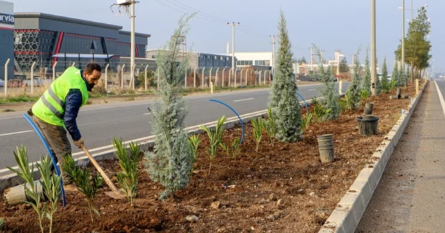 Diyarbakır ın 14 kilometrelik girişi ağaçlandırılıyor Diyarbakır Haberleri
