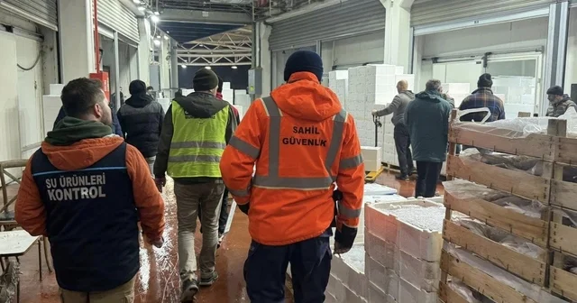 Bursa da balık halinde gece operasyonu...615 kilo istavrite el konuldu Bursa Haberleri
