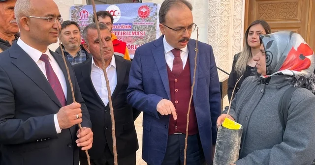 Siirtli çiftçilere 25 bin fıstık ve 4 bin 300 adet Trabzon Hurması fidanı dağıtıldı Siirt Haberleri