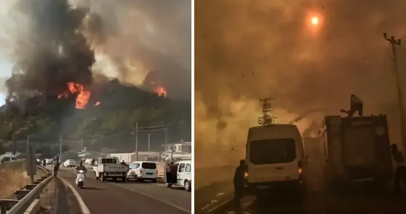 Marmaris in yanan ormanları için hazırlanan projeye AB den 660 bin avro hibe desteği sağlandı Muğla Haberleri