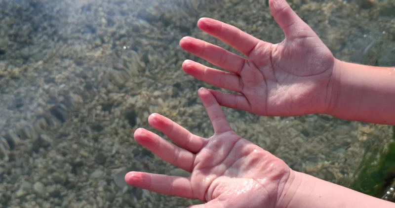 Suya girince neden tüm vücudumuz değil de sadece parmaklarımız buruşur?