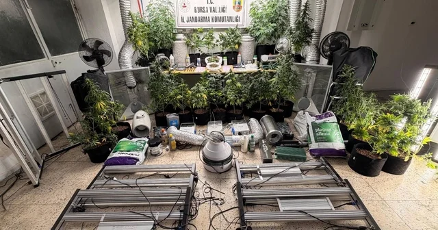 Evini uyuşturucu imalathanesine çevirdi, jandarma operasyonuyla yakalandı Bursa Haberleri