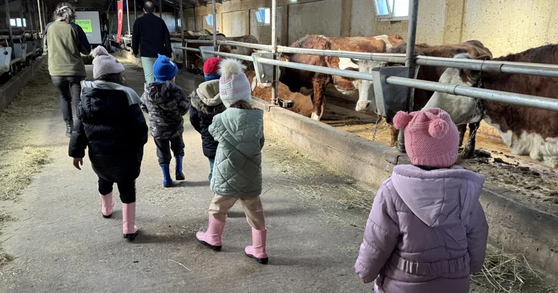 Ardahan da Minik Çiftçi Akademisi: Anaokulu öğrencilerine hayvancılık ve tarım öğretiliyor