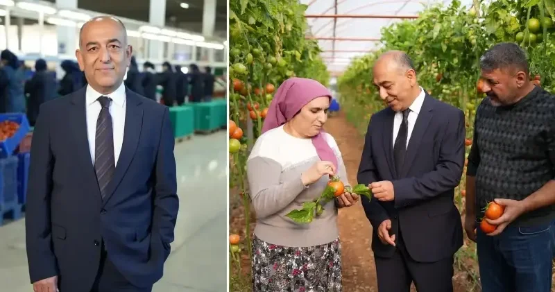 ŞOK Marketler’de yeni dönem: Meyve sebzede pestisit kontrol süreci bir adım ileri taşındı Türkiye Ekonomisi Haberleri