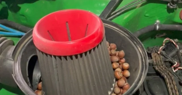 Off road aracının hava filtresine giren sincaptan fındık sürprizi Gümüşhane de park halindeki bir off road aracının hava filtresine giren sincap 1 kiloya yakın fındığı burada depoladı Gümüşhane Haberleri