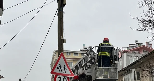 Beyşehir de itfaiye merdiveni bu kez direğin tepesindeki kedi için uzatıldı Konya Haberleri