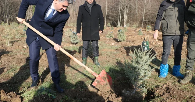 Bolu daki yangın faciasında ölen 78 kişi için hatıra ormanı Bolu Haberleri