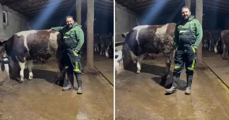 Hayvanıyla video çekip asgari ücretle ilgili yaptığı kıyasa tepki var