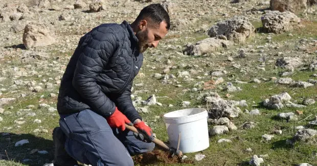 Mardin haberleri Küresel ısınmaya dikkat çekti! 2 yılda 20 binden fazla tohum ekip, fidan dikti 24 Aralık 2025