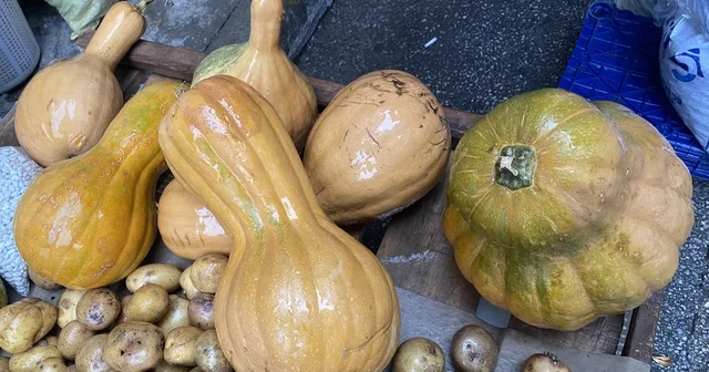 Kendisi ayrı, çekirdeği ayrı şifa kaynağı Manisa Haberleri