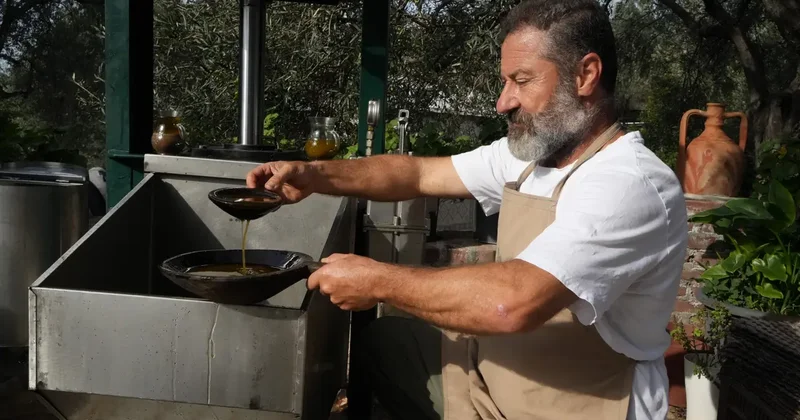 Kimyasal yok, sıcak su yok! Sadece zeytin değil şifa akıyor! Bilimsel olarak kanıtlandı!