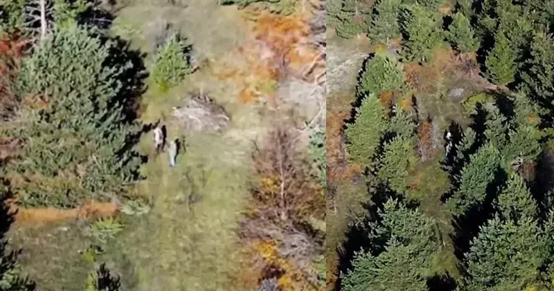 Dron ve fotokapan destekli doğa koruma denetimi; 4 kişiye işlem yapıldı