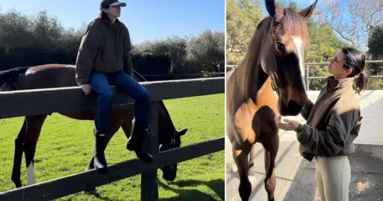 Ailesinden bağımsız olmak istedi... At çiftliğine milyonlar yatırdı