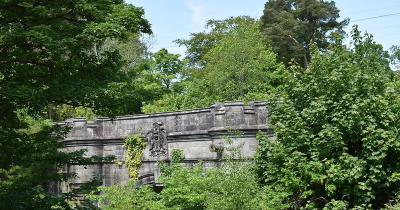 Bu köprüye çıkan köpekler birer birer kayboluyor Sözcü Gazetesi