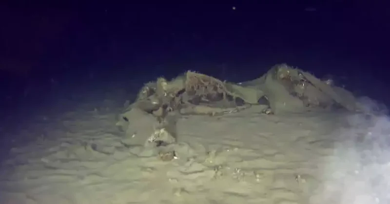 42 kişi hayatını kaybetmişti! Düşen THY uçağında yeni gelişme: 50 yıl sonra ortaya çıktı