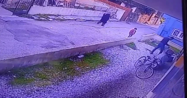 Çocukların gözü önünde köpeği katletti Manisa Haberleri