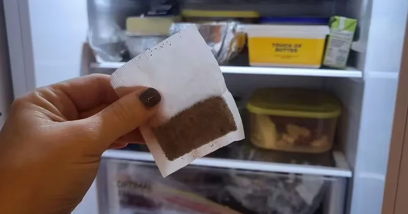 Hanelere buzdolabına çay poşeti koyma çağrısı Sözcü Gazetesi