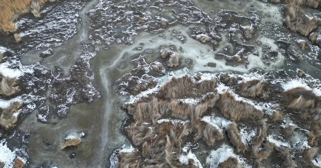 Sultan Sazlığı Milli Parkı ndaki sulak alanlar buz tuttu Kayseri Haberleri