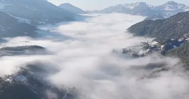 Doğaseverlerin yeni rotası: Sisli ormanlar görenleri hayran bıraktı VİDEO İZLE