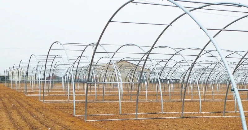 Yılda 9 milyon tonluk üretim yapılıyor