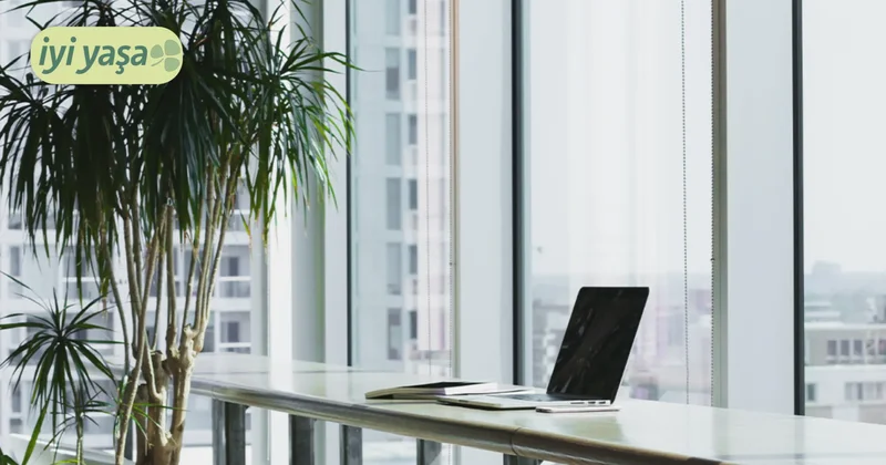 Başvurduğunuz işin size uygun olup olmadığını nasıl anlayabilirsiniz?