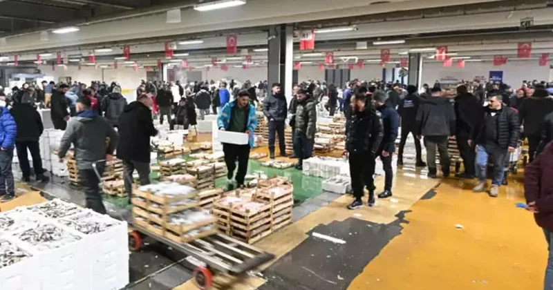 Tarihi İstanbul fotoğraflarında yer alıyordu, 40 yıl sonra geri döndü!