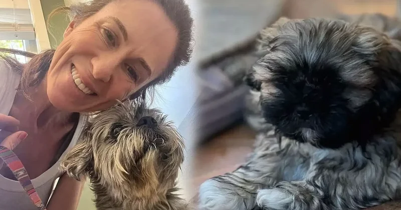 Köpeğinin sonsuza dek yaşaması için klonlattı: 2.1 milyon TL harcasa da umduğunu bulamadı Sözcü Gazetesi