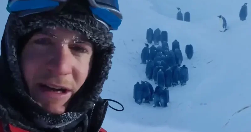 BBC ekibinden belgesel tarihine geçen müdahale! Sosyal medya ikiye bölündü