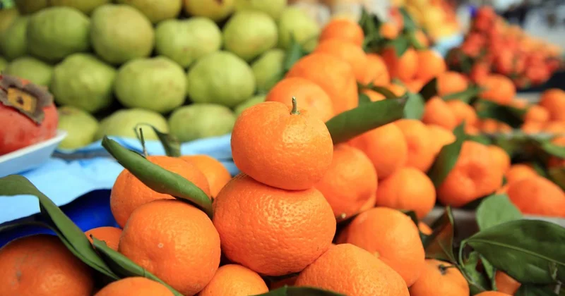 Türkiye’nin narenciye geliri 1,4 milyar doları aştı