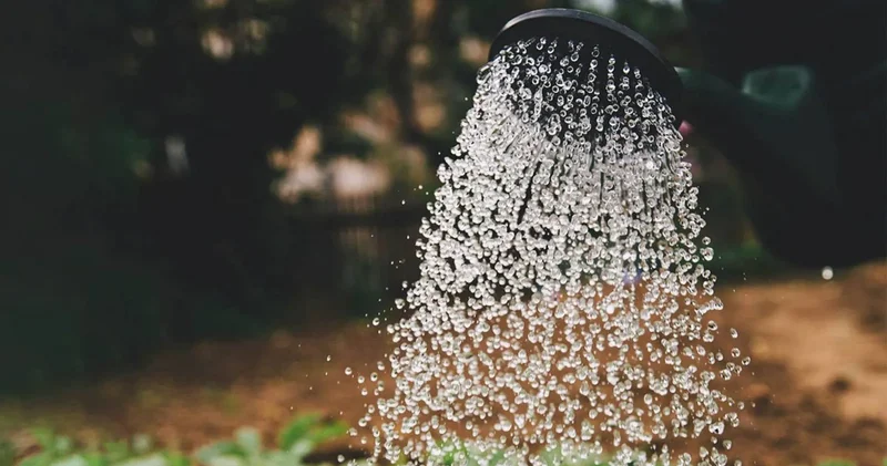 Su kıtlığına karşı yeni imar şartı: Yağmur suyu ve gri su sistemi resmen başladı!
