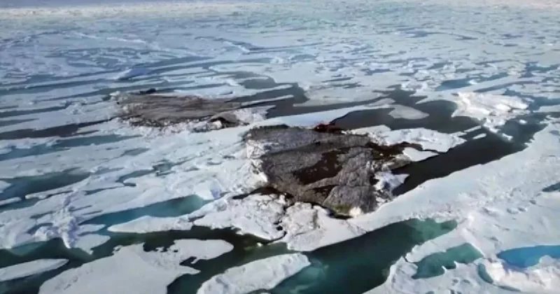 Hiçbir ülkeye ait olmayan ada: Bir gecede ortaya çıktı Sözcü Gazetesi