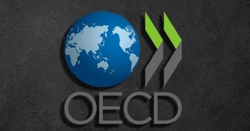 OECD: İşletme ve bireyler üzerindeki vergilerin azaltılması eğilimi tersine dönüyor