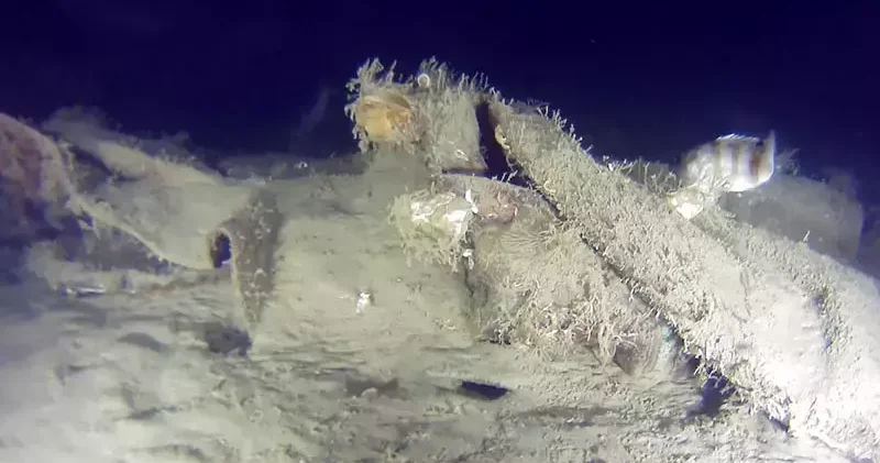 THY nin 50 yıl önce düşen uçağının enkazından yeni parçalar bulundu