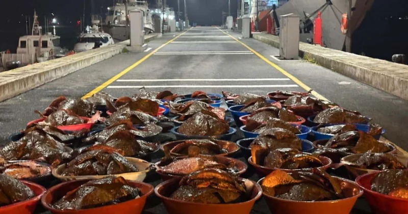 Denizin ortasında tonlarca ele geçirildi: Kova kova kıyıya taşındı