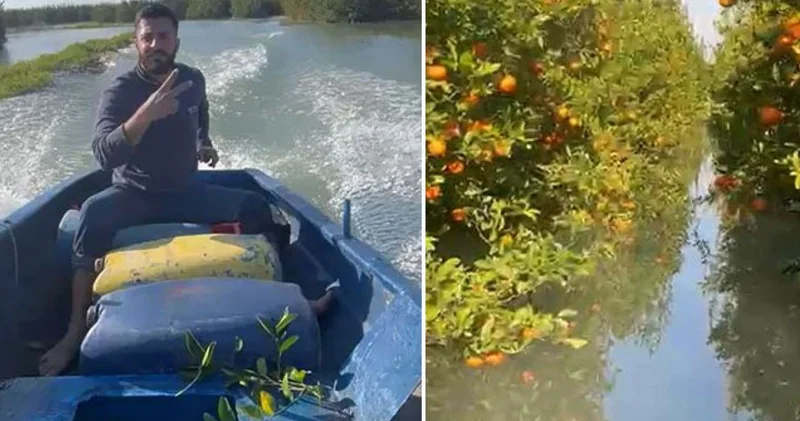 SON DAKİKA: Venedik değil Çukurova... Narenciye bahçesine motorlu kayıkla gitti Son dakika haberleri