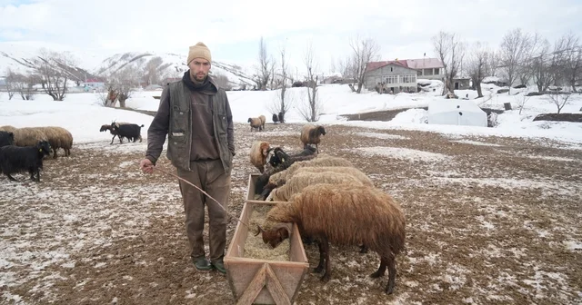 Muş ta kış ve bahar aynı anda yaşanıyor Muş Haberleri