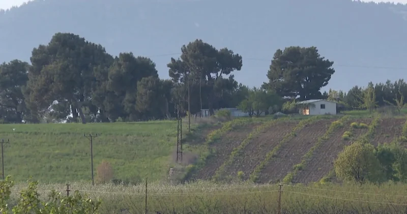 94 yıl sürdü: Son dakika! Türkiye nin en uzun soluklu tapu davasında karar! Tarihe geçti Son dakika haberleri