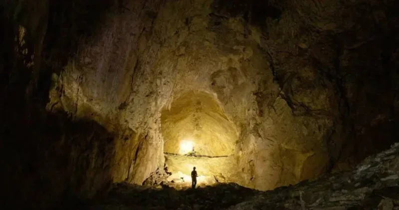 Güneşsiz fotosentez şaşkına çevirdi! Uzayda yaşam olabilir