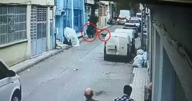 Pitbul ile saldırı davasında 3 sanığa indirimli hapis cezası Bursa Haberleri