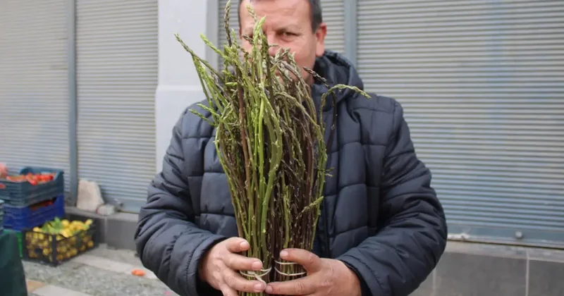 Halk arasında acı ot diye biliniyor, faydaları saymakla bitmiyor