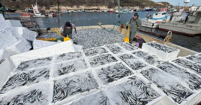 Kırklarelili balıkçılar, Karadeniz de 6 saatte 30 ton hamsi avladı Kırklareli Haberleri