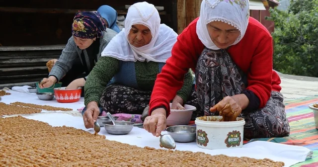 Asırlık kış lezzeti; keş tatlısı yazın hazırlanıp kışın sofralara geliyor Erzurum Haberleri